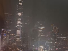 -深圳星河丽思卡尔顿酒店