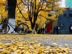 -四川大学(华西校区)