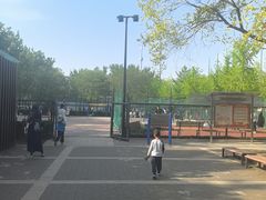 -东升文体公园