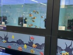 -大润发(姑嫂树店)