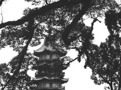 -阿育王寺