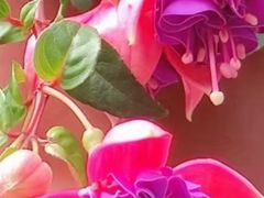 -火星时代教育(成都校区)