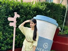 -汕头龙光喜来登酒店