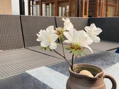 -和顺柏联温泉