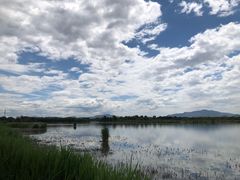 -野鸭湖国家湿地公园