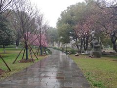 -堤角公园