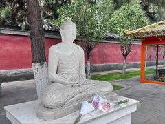 -护国法轮寺