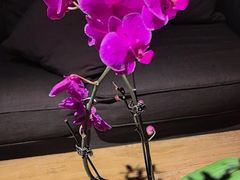 -小河盐帮·私家菜·烤鸭(三元桥·霄云路店)