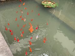 -天地生态农庄