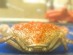 -海景壹号大酒店(滨湖店)