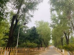 -青龙湖公园