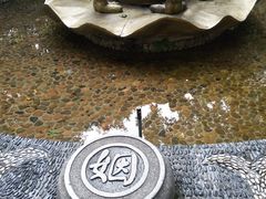 -杭州黄龙洞