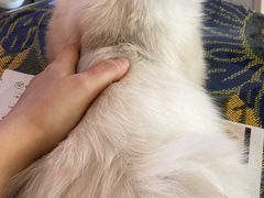 -平行世界·猫咖(首经贸店)