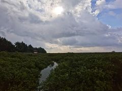 -北海金海湾红树林生态旅游区