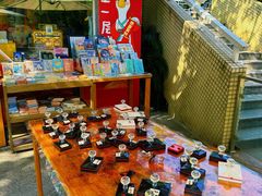 -鹅岭公园瞰胜楼