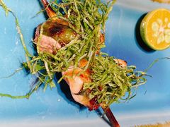 -人间酒暖·Go blanc·烧鸟·深夜食堂(陆家嘴店)