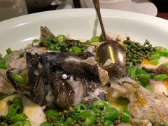 -CHIC1699远洋私厨