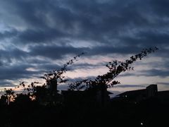 -海南热带海洋学院(三亚校区)
