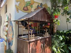 -多哥水傣味餐厅(司马巷店)