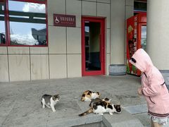 -六鼎山文化旅游区