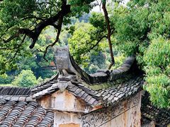-杨家堂村