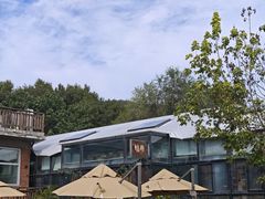 -北马山庄植趣咖啡