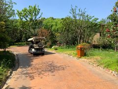 -杭州开元森泊度假乐园