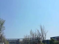 -金陵中学(河西分校)