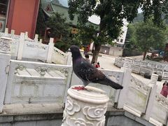 -六祖寺