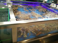-盒马鲜生(大成店)