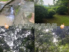 -火炉山森林公园