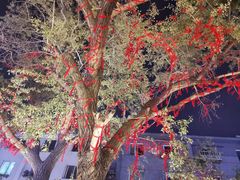 -枫林晚音乐串吧