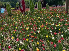 -长春公园(普阳街道)