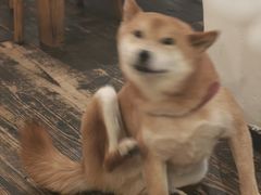 -三目仓咖啡(贤南路店)