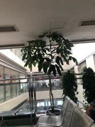 -北京市朝阳区妇幼保健院(南院区)