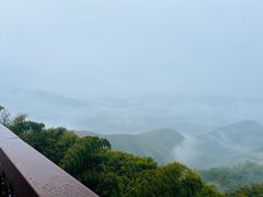 -莫干山风景区