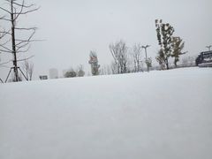 -葛仙湖公园