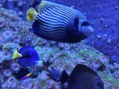 -成都浩海立方海洋公园