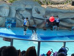 -泉州海丝野生动物世界