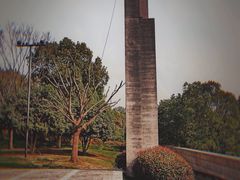 -美丽洲堂