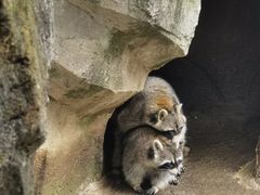 -杭州野生动物世界