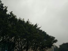 -西南政法大学(渝北校区)