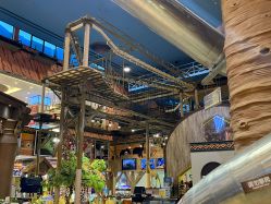 -卡通尼·Safari非洲探索乐园·生日会(金桥国际商业广场店)