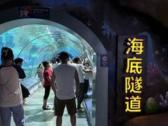 -福州罗源湾海洋世界旅游区