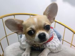 -景子街购物中心