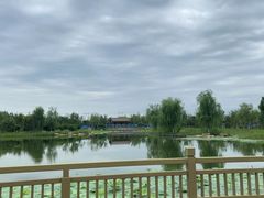 -张家湾公园