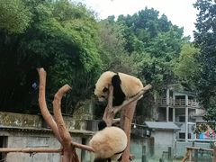 -重庆动物园·东二门售票处