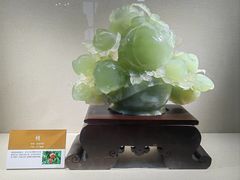-大连自然博物馆