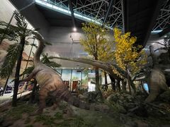 -湖南省地质博物馆