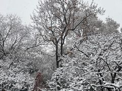-红梅公园